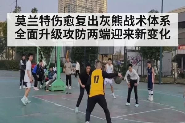 莫兰特伤愈复出灰熊战术体系全面升级攻防两端迎来新变化
